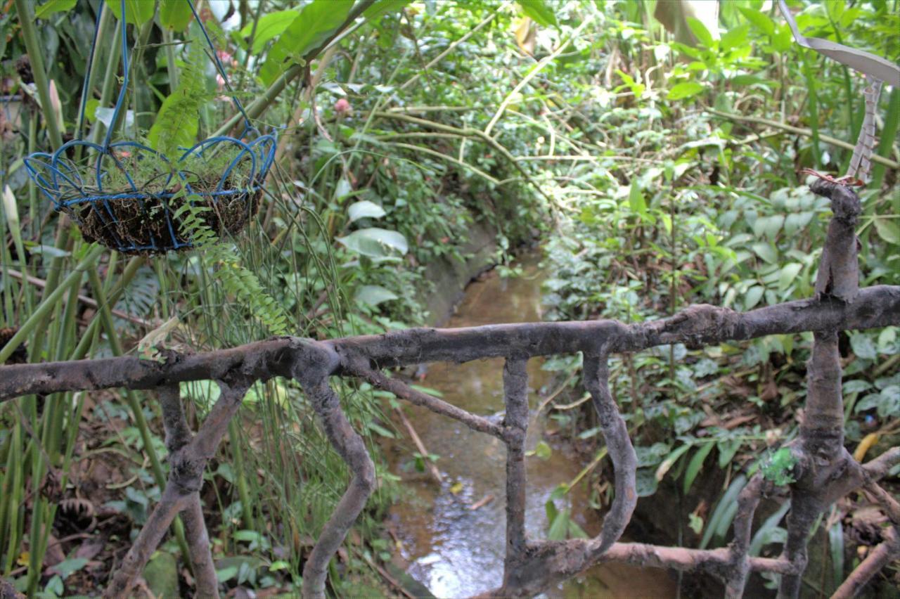 Guest house Salamandra Costa Rica