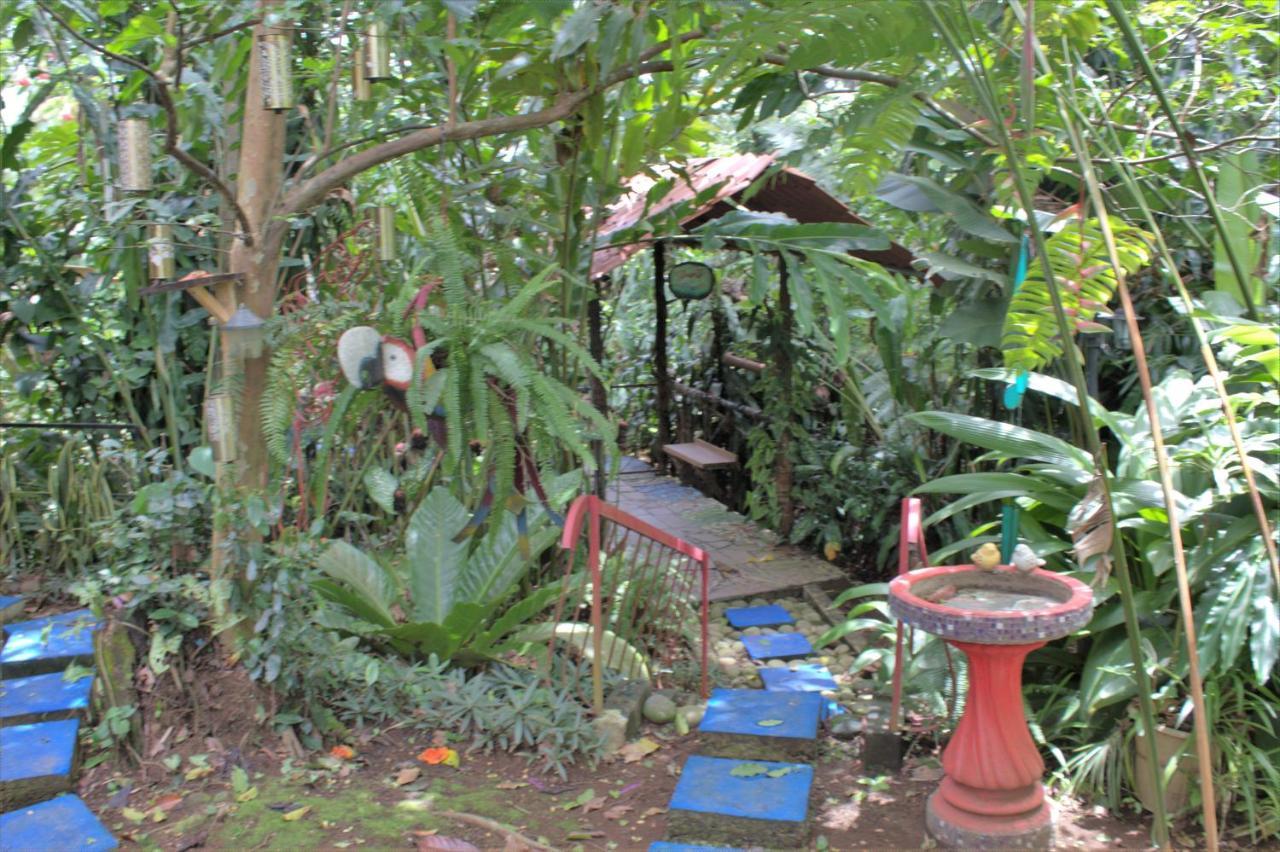 Salamandra Costa Rica Guest house *