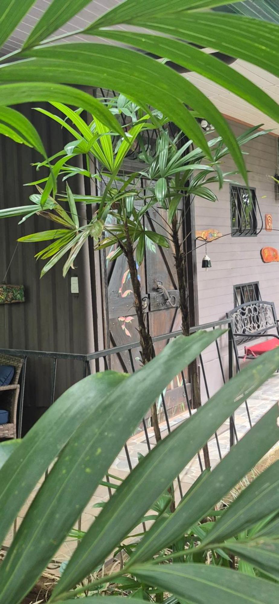 Guest house Salamandra Costa Rica *